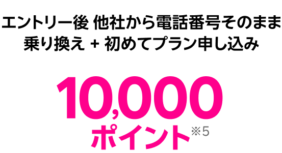 エントリー後 他社から電話番号そのまま乗り換え + 初めてプラン申し込み10000ポイント※5