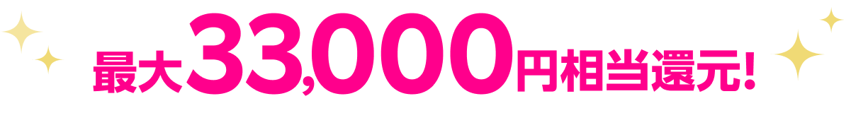 最大33,000ポイント