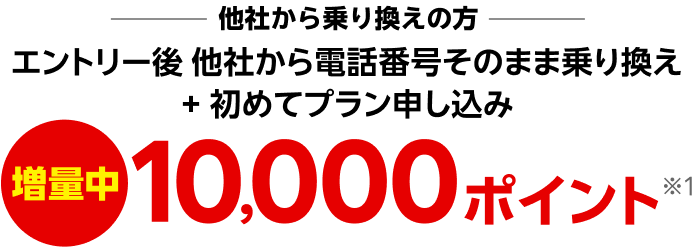 エントリー後、他社から電話番号そのまま 乗り換え + 初めてプラン申し込み10,000ポイント※1